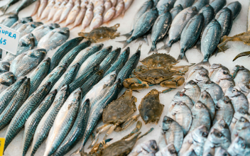 Fresh Fish